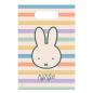 Preview: Miffy Party Tüten "nijntje"
